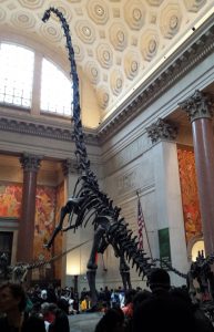 Stop by the Museum of Natural History to party with dinosaurs on your weekend on New York City!