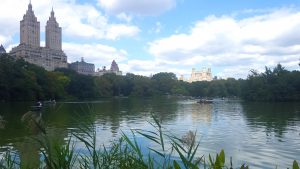 The view across the pond in Central Park, a beautiful walk for a weekend in New York