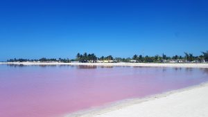 A perfectly clear day at the pink lakes of Los Coloradas, Mexico
