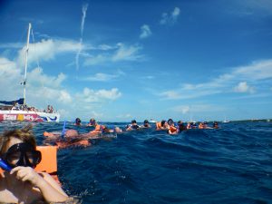 A line of us in the water snorkeling on our organized tour