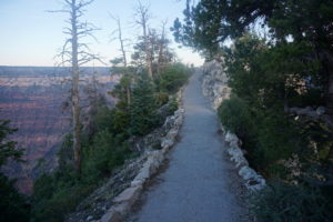 The trail to Angels Landing at the South Rim