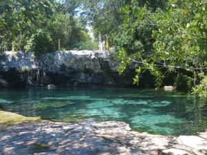 A view of Cenote Cristalino in Quintana Roo,Yucatan Peninsula