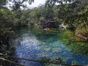 A look at Cenote Jardin del Eden in Quintana Roo, Mexico