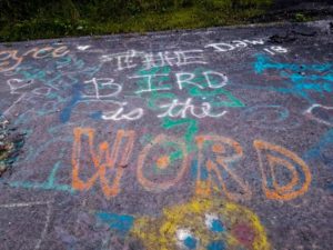 'The Bird is the Word' written in pray paint on the graffiti highway