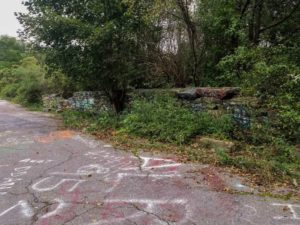 A brick wall falling apart, surrounded by trees and graffiti covered road