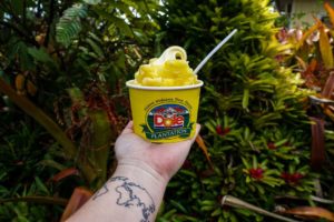 Hand with a map tattoo on the inner wrist holding a cup of Dole whip topped with pineapple chunks