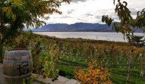 A wine barrel in front of a field of grape vines with Okanagan Lake in the background