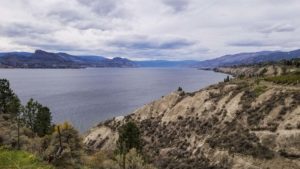 A view of Okanagan Lake with vineyards in the foreground