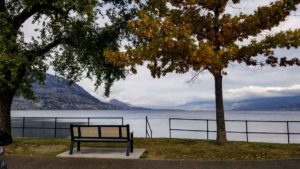 a bench between 2 trees overlooking Okanagan Lake