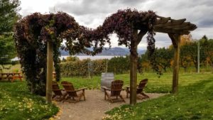 An archway covered in purple vines with 4 adirondack chairs underneath, overlooking vineyards and Okanagan Lake