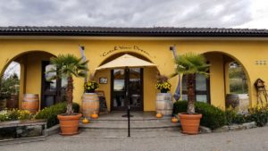 A yellow archway with green plants and a yellow umbrella leading to the entrance of Ruby Blues Winery tasting room
