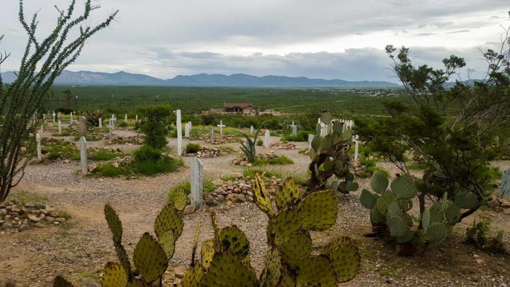Cacti frame a cemetery filled with white crosses, with mountains in the distance behind. 